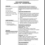Professional Resume Templates Microsoft Word – Free Samples , Examples & Format Resume For Resume Templates Word 2013