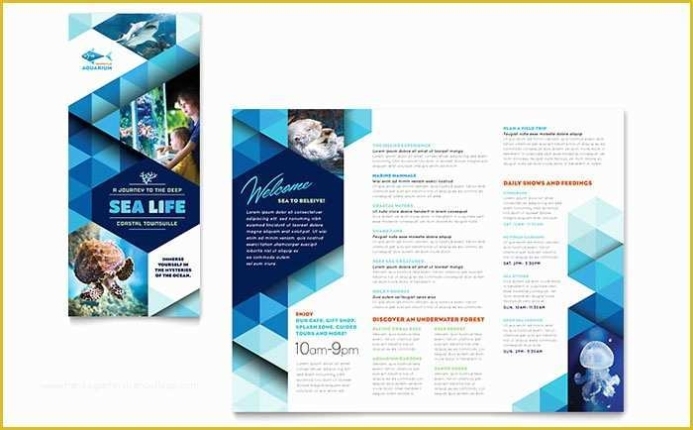 Publisher Brochure Templates Free Of Ocean Aquarium Brochure Template For Free Brochure Templates For Word 2010