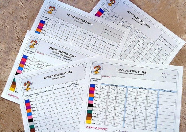 Record Keeping Charts For Breeders — Free Printable Puppy Forms For Dog Grooming Record Card Template
