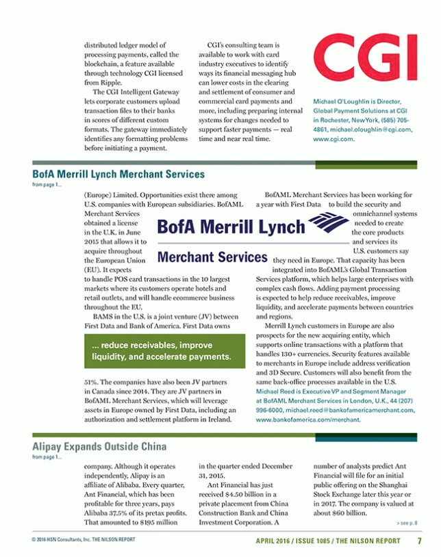 The Nilson Report | Card And Mobile Payment Industry News | Free Sample Issue With Merrill Lynch Business Plan Template