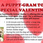 Valentine'S Day Puppy Grams Return For 2015 In Fayetteville With Regard To Puppy For Sale Flyer Templates